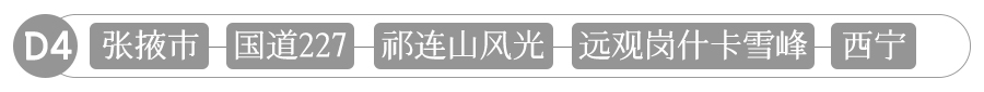 大美青海湖私家定制团 4天3晚品质游(图6)