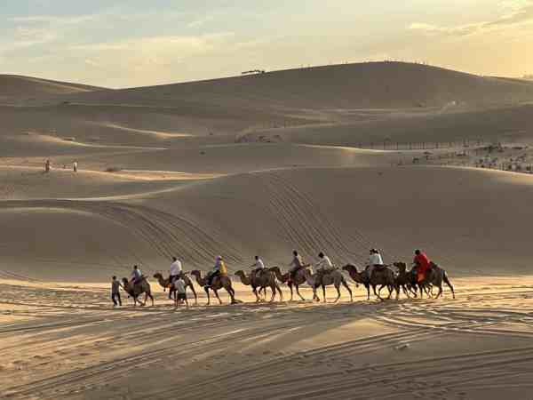 敦煌研学7天6晚，回溯历史之美